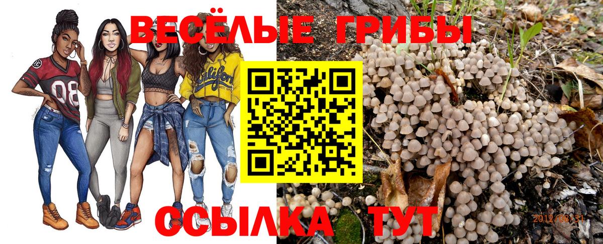 Псилоцибиновые грибы Psilocybe  Псилоцибиновые грибы Psilocybine cubensis  купить закладку  Шадринск  Вход с VPN 